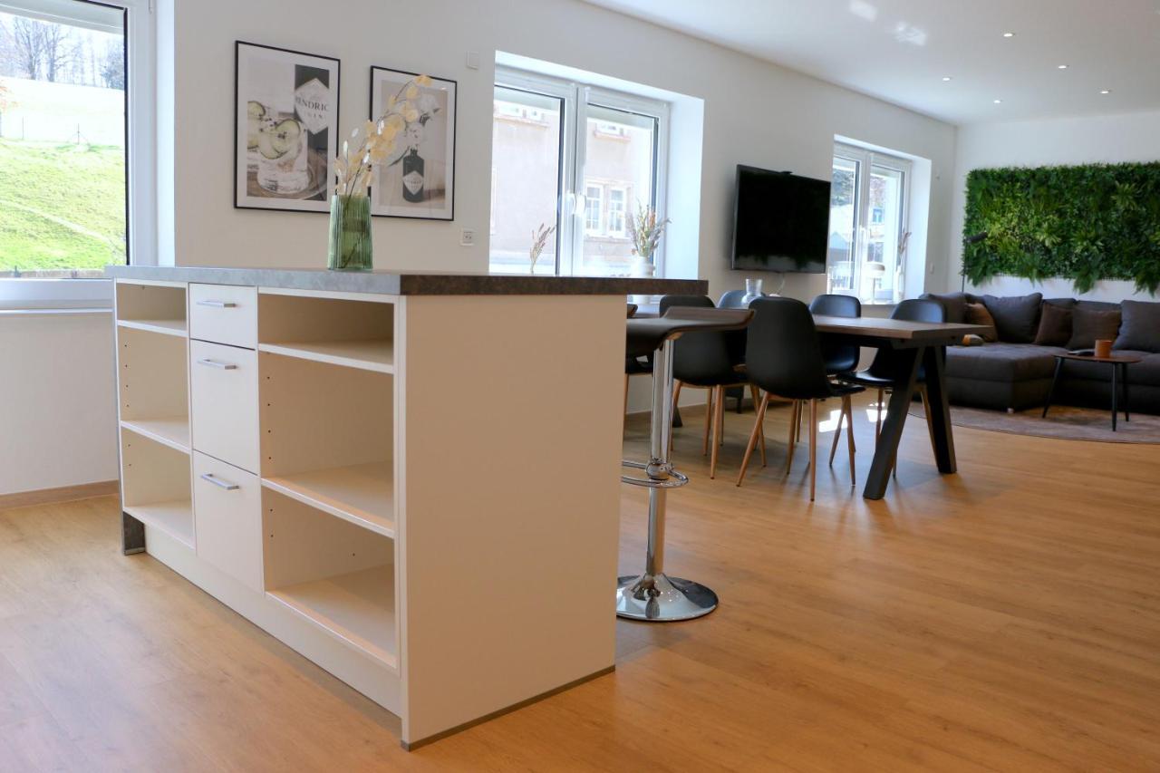Luxurioese Ferienwohnung In Chemnitz - Apartment B28 Fuer 2 Plus 2 Gaeste Buitenkant foto